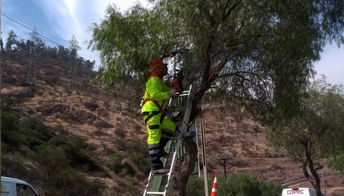 PHOTO-2019-05-15-15-01-13